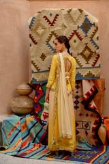 Butterscotch yellow ombre saree with kurti blouse.