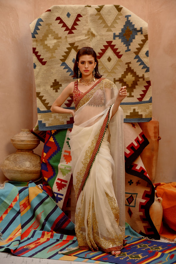 Fawn 'QUEEN' saree withh beetroot sleeveless tie-up blouse.