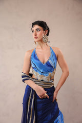 The  Hollywood saree with celebrity backless blouse