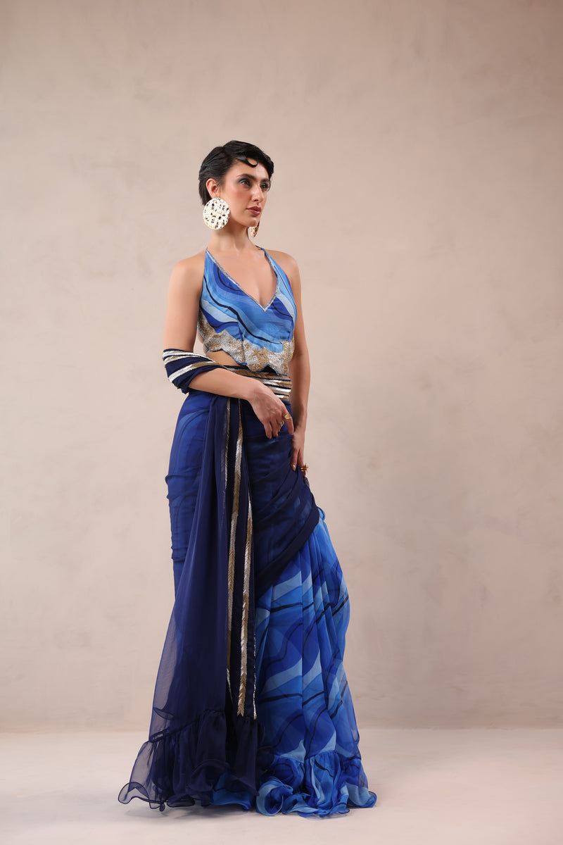 The  Hollywood saree with celebrity backless blouse
