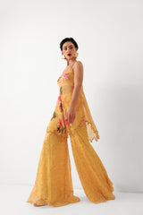 The Kal-katta Bageecha Sharara Set