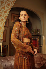 Dilruba trevron dhaani  balloon sleeve crop top with broad belt skirt