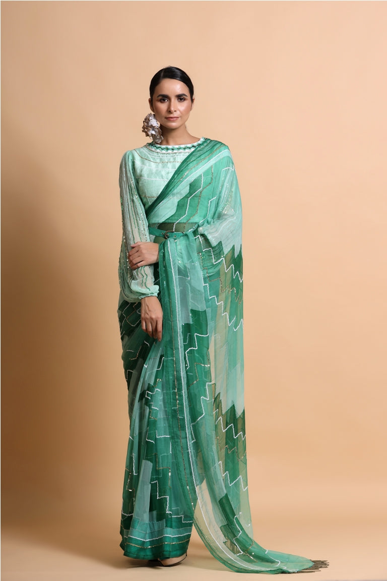 Green Embroidered Chiffon Saree with balloon sleeve blouse