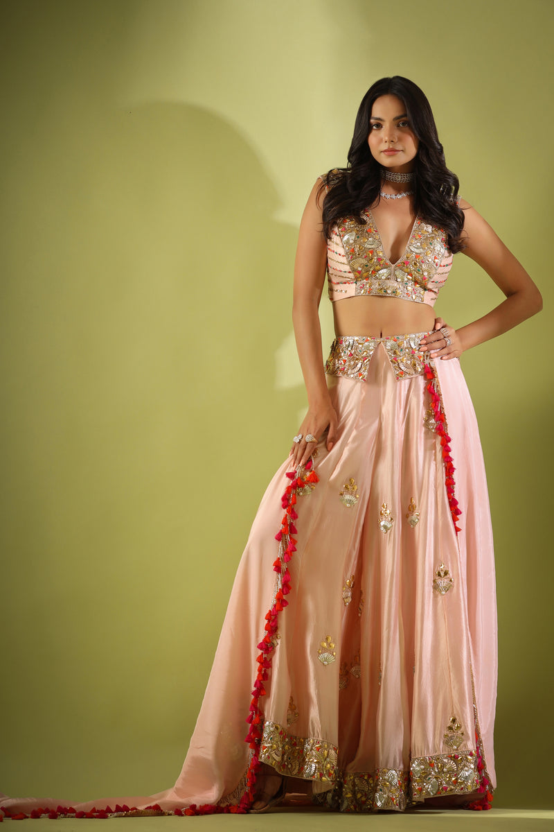 Haseena gulabi pankhi gota sharara set