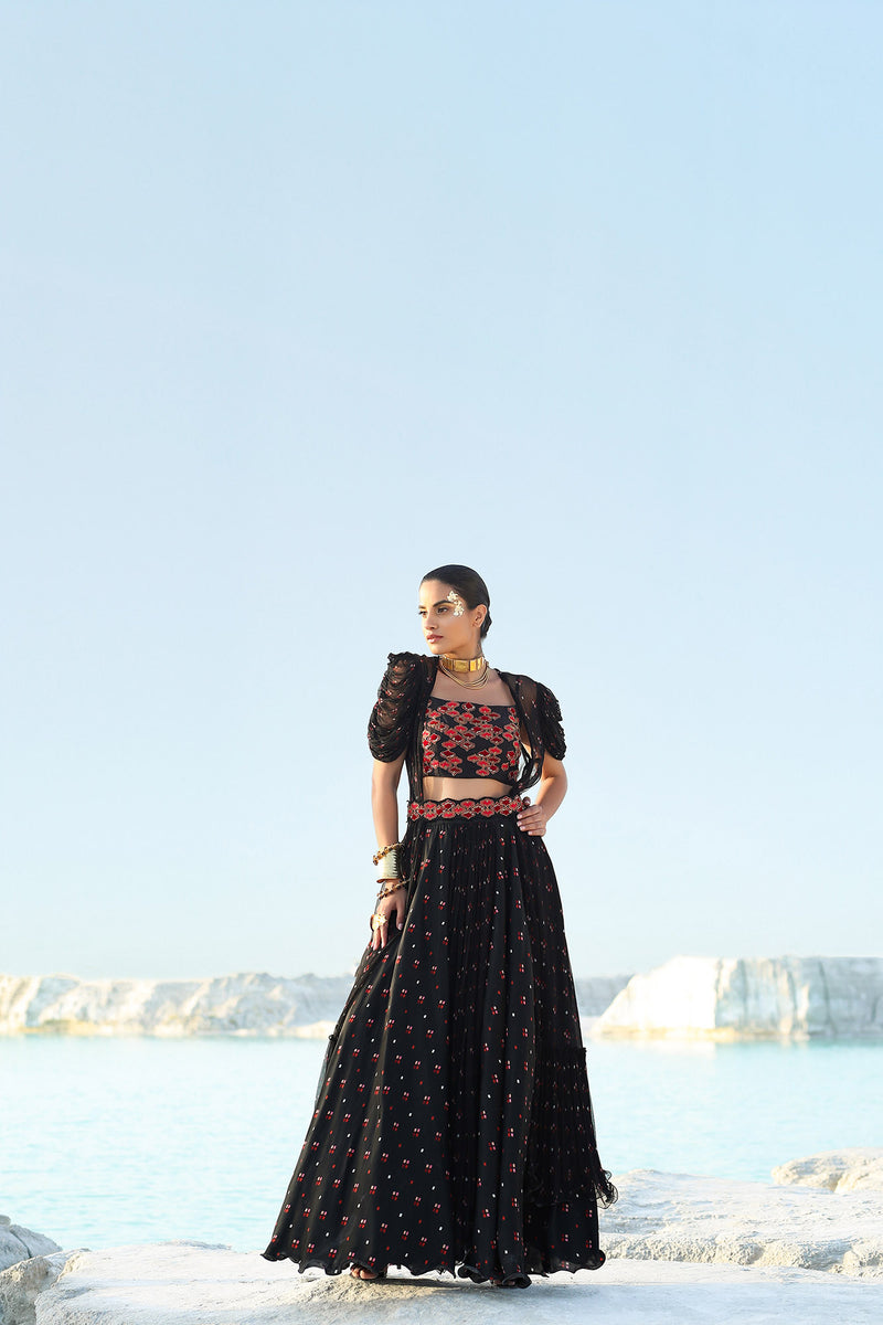 Ameera Mosaic Crop & Skirt With Cascade Sleeves Sheer Overlay Set